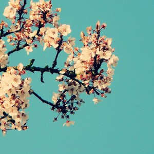 国产午夜激无码AV毛
