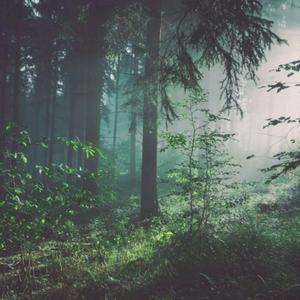 国产午夜激无码AV毛
